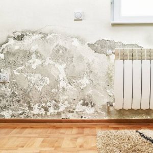 solutions pour l’assèchement des murs humides