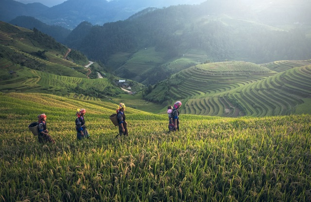 Conseils durables et découvertes pour un voyage éco-responsable au Vietnam