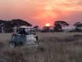 Quels sont les essentiels pour préparer un safari en Afrique ?