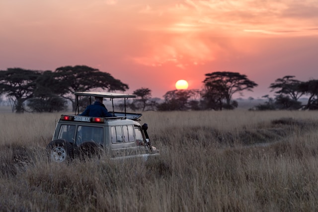 Quels sont les essentiels pour préparer un safari en Afrique ?